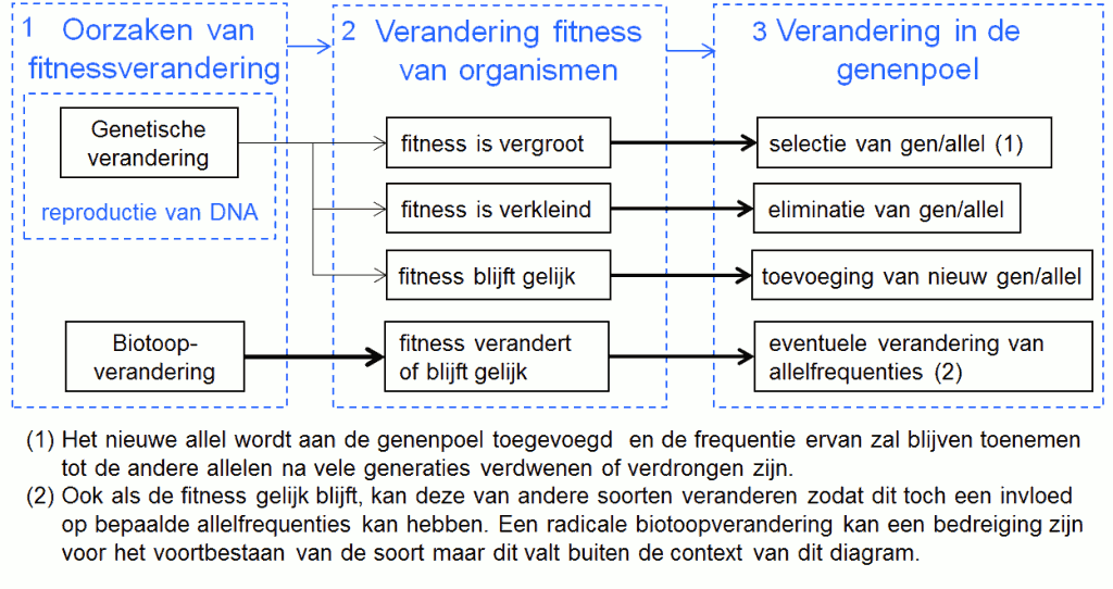 Fig%203%20%20%20Proces%20van%20natuurlijke%20selectie