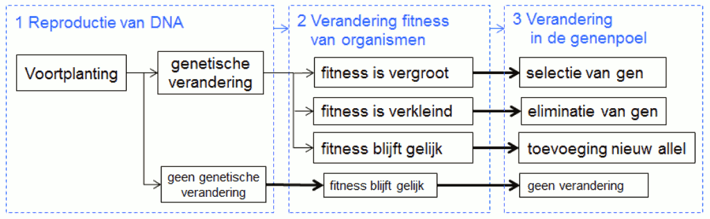 Fig%204%20%20%20Proces%20van%20voortplanting