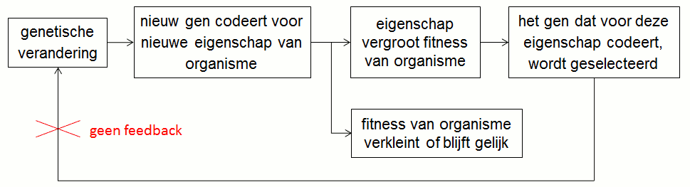 Fig%206%20%20%20Gen%20kan%20haar%20eigen%20selectie%20niet%20beinvloeden