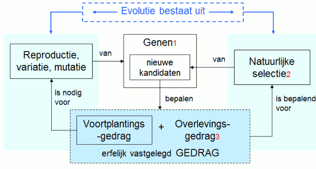 Evolutie%20is%20voortplanting%20en%20overleving