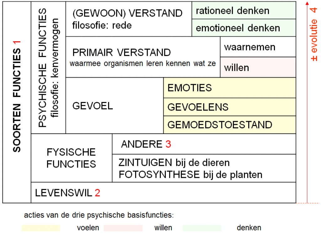 Evolutie%20van%20functies