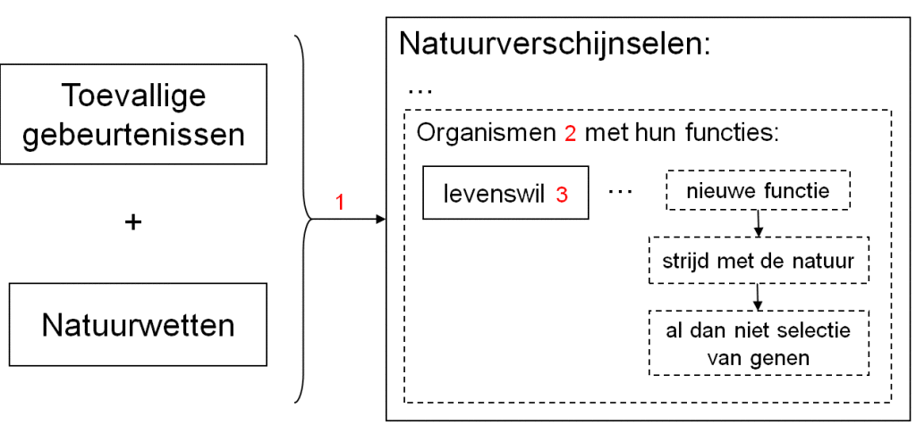 Evolutionaire%20herkomst%20van%20levenswil