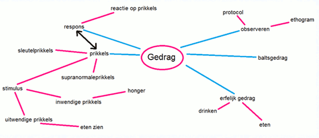 Gedragsmodel%20van%20een%20student